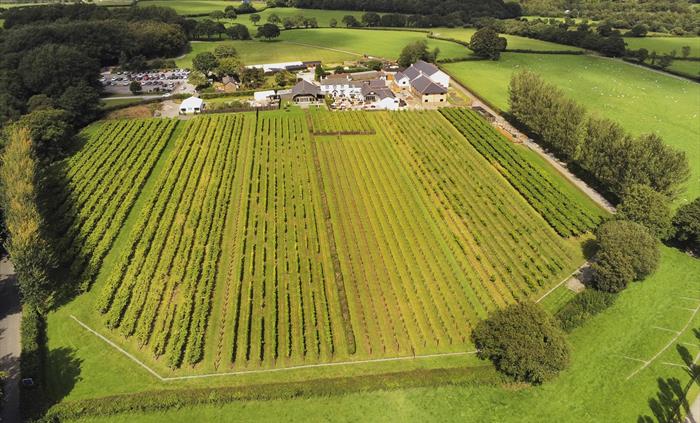 Llanerch Vineyard Hotel